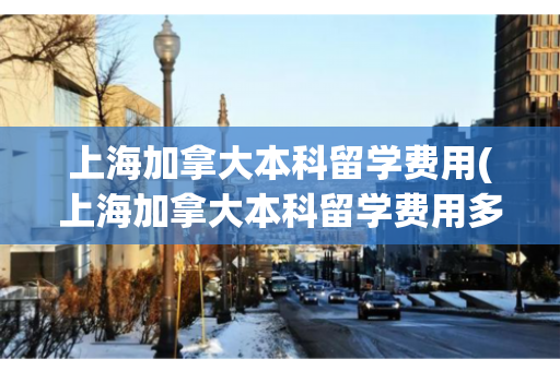 上海加拿大本科留学费用(上海加拿大本科留学费用多少)