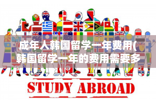 成年人韩国留学一年费用(韩国留学一年的费用需要多少)